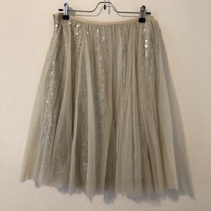 Sequins and Sheer skirt